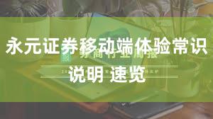 永元证券移动端体验常识说明 速览